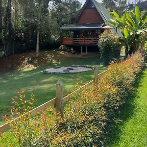 eucalypto-chalet.colombiamedellinhotels.com/